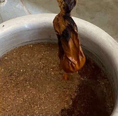 Fabric lifted out of a pot of brown natural dye.